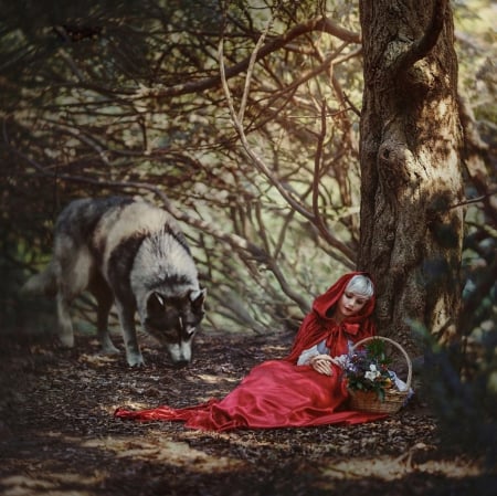 Beauty - wolf, basket, lady, forest