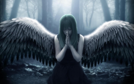 angel - night, wings, dark, angel