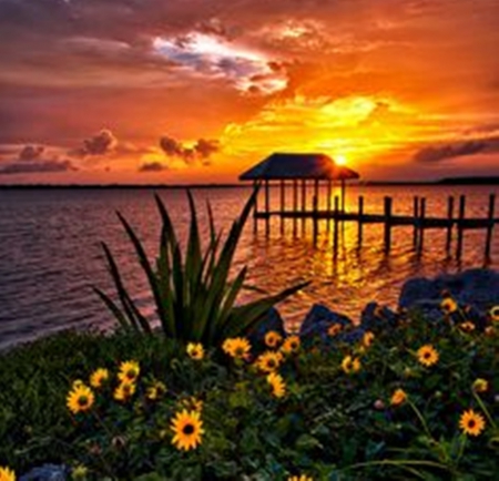 Lovely Sunset - sunsets, beauty, landscape, flowers, nature