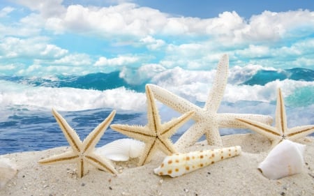 Happy Summer! - shell, starfish, summer, blue, beach, sea, sand