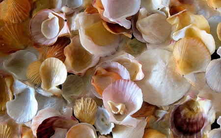 Shells - shell, summer, painting, poster