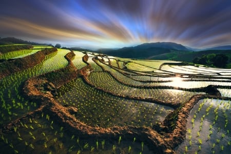 Summer - sky, vietnam, green, summer, photo