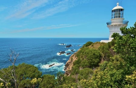 Sugar Loaf Point - water, trees, sea, cliff