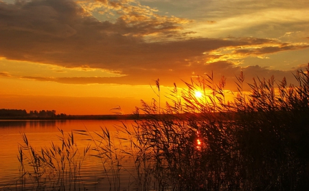 Fiery sunset - rays, sky, summer, shore, sunset, lovely, nature, glow, amazing, fiery, reflection, beautiful, river, orange, grass, sunrise