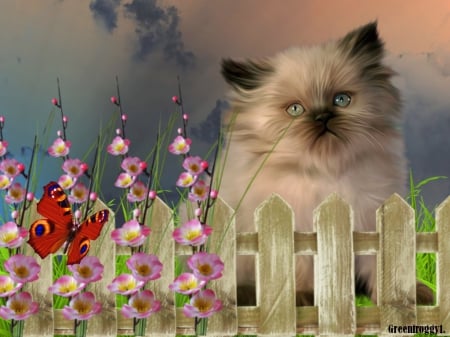 CUTE KITTY - flowers, creation, kitty, butterfly