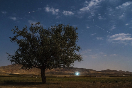 Perseid in Moonlight - space, fun, field, stars, cool