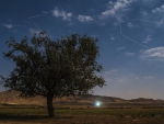 Perseid in Moonlight