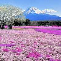 Mount Fuji, Japan