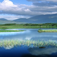 Wetlands and Mountains