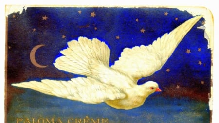 Dove - flying, white, dove, bird