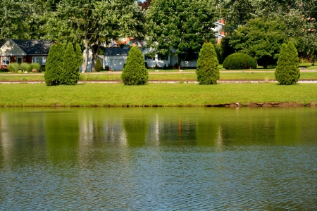 Summer in the Park - summer pond, summer fun, summer stream, summer in the park, summer park, fun park