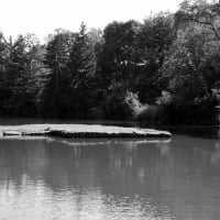 Summer Pond View