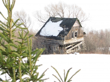 Old barns - serene, landscapes, old barn, winter scene