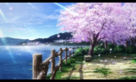 Scenery - pretty, anime, scenery, blossom, scene, pink, sunray, lake, nice, sky, sunlight, sakura, water, cherry blossom, beautiful, pond, scenic, beauty, lovely, sakura blossom, sweet, fence, flower, petals, shadow, tree, shade, floral