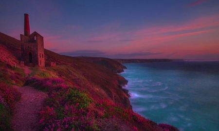 Purple Haze - nature, purple, flowers, sea