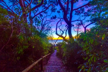 Follow Me - nature, bridge, trees, blue