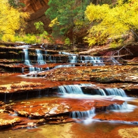 Cascades at Zion National Park