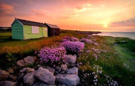 Flowers and huts in the sunrise - coast, beautiful, sea, sunrise, lovely, photo, stones, flowers, shore, sunset, nature, huts, lake, houses, sky