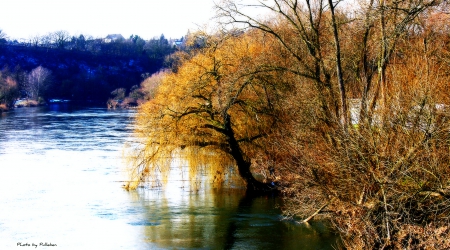 Idyllic Lake - baum, see, lake, idyll, nature, idylle, coloured, tree, natur