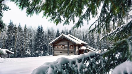 gorgeous forest log cabin in winter - forest, winter, cabin, logs