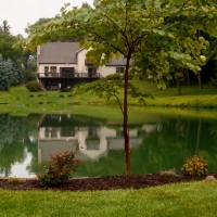 Backyard Pond