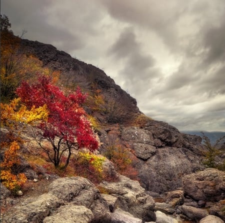 Autumn - mountains, trees, clouds, autumn