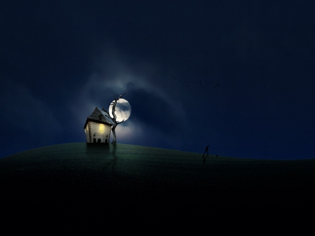 The Moon - moon, stars, sky, night, glow, person, clouds, house, grass