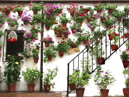 House with many flowers - houses, architecture, wallpaper, flowers, new