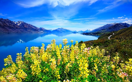 Spring Wildflowers - lake, clouds, beautiful, mountains, flowers, road, spring, wildflowers