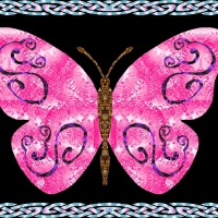 pink butterfly