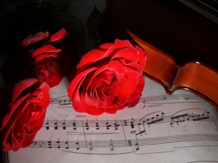 Roses - red, roses, note, violin