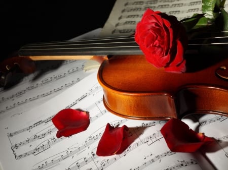 :) - red, note, rose, violin