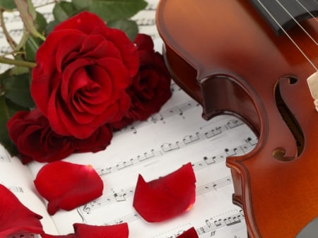 :) - roses, petals, note, violin