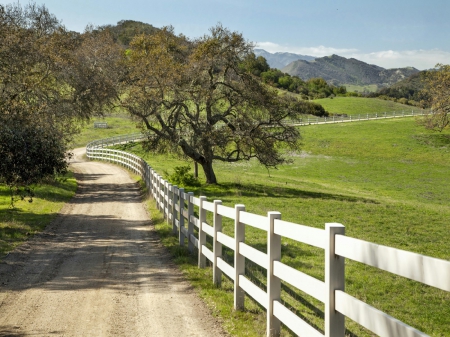 Country Road - trees, road, grass, fence, shadow, life, mountain, living, white, nature, field, day, country, sky