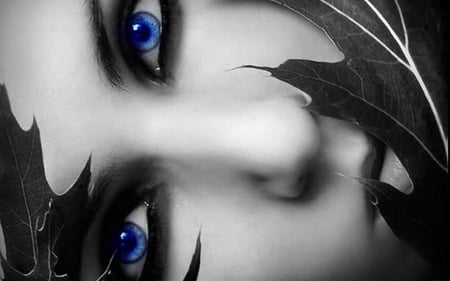 blue eyes - beauty, art, bw, blue eyes