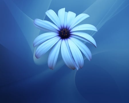 blue flower ab