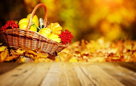 Autumn - fall, basket, autumn, harvest, leaves