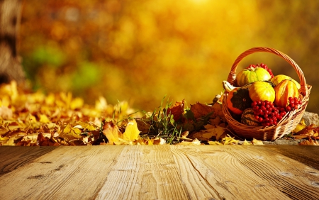 Autumn - autumn, harvest, fall, pumpkin, leaves, ash