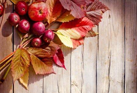 Autumn - applea, autumn, wood, harvest, leaves