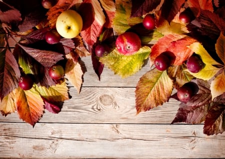 Autumn - apples, autumn, wood, harvest, leaves