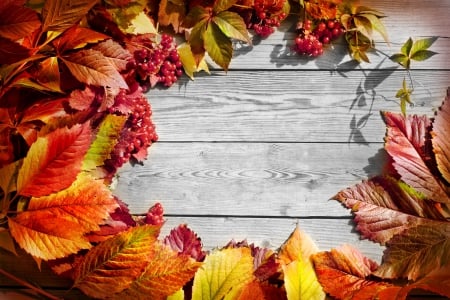 Autumn leaves - leaves, wood, fall, autumn