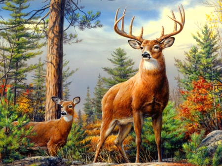 Standing proud - forest, animals, rocks, beautiful, art, sky, proud, clouds, wild, trees, nature, mountain, deers, painting