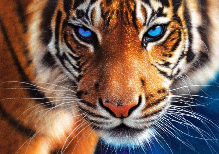 Blue eyes - painting, art, cat, wild, eyes, blue, beautiful, tiger