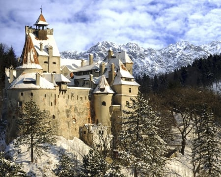 Winter Castle - winter, old, castle, snow