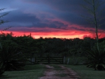 Brazilian Sunset