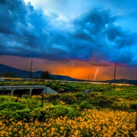 Stormy Summer, Arizona