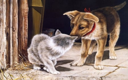 Dog and cat - kitten, Dog, friends, puppy, cat