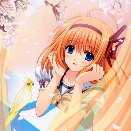 Window Side - nice, beauty, female, anime girl, curtain, cherry blossom, pretty, petals, orange hair, anime, sakura blossom, cute, girl, adorable, blue eyes, long hair, lovely, bird, cg, hd, kawaii, sakura, beautiful, blossom, sweet