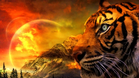 New Domains - CGI, Tiger, Collage, Landscape, 3D