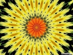 YELLOW BURST